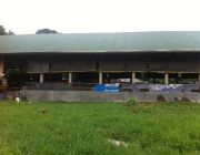 For Sale Piggery Farm with Income in Pandi Bulacan -- Farms & Ranches -- Bulacan City, Philippines