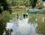 Piggery farm with Fishpond in San Jose Del Monte Bulacan -- Farms & Ranches -- Bulacan City, Philippines
