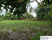 lot for sale -- Land -- Albay, Philippines