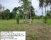 lot for sale -- Land -- Albay, Philippines