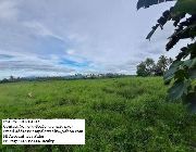 agrilot for sale -- Land -- Albay, Philippines