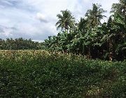 Vacant Lot for Sale, Batangas Land for Sale, Land for Sale -- Beach & Resort -- Lipa, Philippines