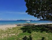 Beach, Lot, Palawan, Puerto Princesa, Island -- Beach & Resort -- Palawan, Philippines