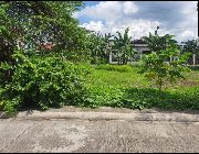 Lot For Sale -- Land -- Bulacan City, Philippines