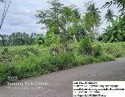 lot for sale -- House & Lot -- Albay, Philippines