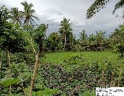 Lot for sale -- House & Lot -- Albay, Philippines