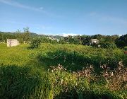 RESIDENTIAL LOT FOR SALE INSIDE SUBDIVISION -- Land -- Rizal, Philippines