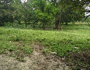 AFFORDALE FARM LOT FOR SALE -- Land -- Rizal, Philippines
