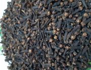 CLOVES, WHOLE CLOVES, CLOVES BUDS -- Food & Beverage -- Cavite City, Philippines