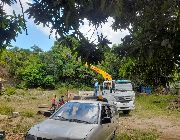Pre-selling commercial, residential and Farm lots at Alta Monte Pililia Rizal -- Land -- Rizal, Philippines