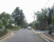 VALLEY VIEW EXECUTIVE CAINTA RESIDENTIAL LOT FOR SALE -- Land -- Rizal, Philippines
