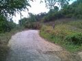 farm lot no downpayment no interest 6 yrs to pay, -- Farms & Ranches -- Cebu City, Philippines