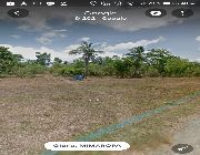 12.981263,121 .438652 -- Land & Farm -- Oriental Mindoro, Philippines