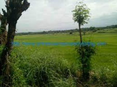 776 Hectares For Sale in Bulacan -- Land Bulacan City, Philippines
