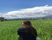 Basakan, affordable, rice fields -- Land & Farm -- Bukidnon, Philippines