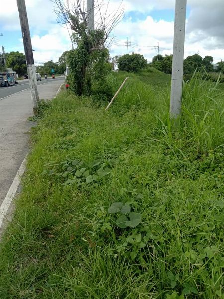 10 Hectares For Sale in Tagaytay -- Land -- Cavite City, Philippines