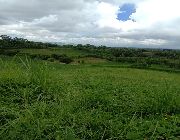 10 Hectares For Sale in Tagaytay -- Land -- Cavite City, Philippines