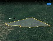 134 Hectares Rawland For Sale in Batangas -- Land -- Batangas City, Philippines