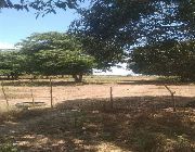 70 Hectares Rawland For Sale in Cavite -- Land -- Cavite City, Philippines