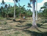 FARM FOR SALE IN PAGSANJAN LAGUNA -- Land & Farm -- Laguna, Philippines