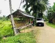PRE SELLING LOT ONLY IN CALIDNGAN CARCAR -- Land -- Carcar, Philippines