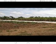 43 Hectares For Sale in Cavite -- Land -- Cavite City, Philippines