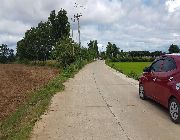Land, Lot, Resort, Swimming Pool, -- Farms & Ranches -- Bulacan City, Philippines