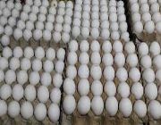 farm eggs -- Food & Beverage -- Metro Manila, Philippines