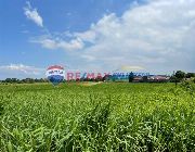 FOR SALE Vacant Lot Pasong Camachile 1 Gen Trias Cavite -- Land -- Cavite City, Philippines