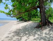 Beach Lot for Sale in Calatagan Batangas, 39.5 Hectares White Sand Beach Front Lot For Sale along Pagapas Bay, Brgy. Bagong Silang, Calatagan, Batangas -- Land -- Batangas City, Philippines