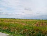 For Sale Rawland  7,000 Hectares 16.1B in Tarlac -- Land -- Tarlac City, Philippines