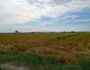 For Sale Rawland  7,000 Hectares 16.1B in Tarlac -- Land -- Tarlac City, Philippines