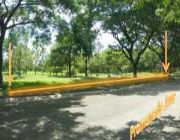 Promenade Subdivision Vacant Lot for Sale -- Foreclosure -- Santa Rosa, Philippines