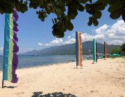 beach property for sale, beachfront lots for sale -- Land -- San Juan, Philippines