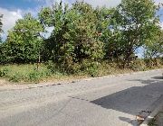 4.5 Hectares Prime Lot for Sale along F. Viola Highway in Caingin, San Rafael, Bulacan.. located about 1.7 Kms away from Plaridel Bypass Road -- Land -- Bulacan City, Philippines