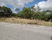 4.5 Hectares Prime Lot for Sale along F. Viola Highway in Caingin, San Rafael, Bulacan.. located about 1.7 Kms away from Plaridel Bypass Road -- Land -- Bulacan City, Philippines