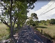 40 Hectares Lot for Sale in Baliuag, Bulacan near SM City Baliuag, ideal place for Industrial or Housing Project, etc.. -- Land -- Bulacan City, Philippines