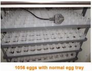 Egg Incubator -- Everything Else -- Metro Manila, Philippines