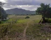 100 Hectares 700M Rawland For Sale in Morong Rizal -- Land -- Rizal, Philippines