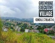 135sqm. 1.6M Residential Lot For Sale in Greenridge Exec. Vill.,Binangonan -- Land -- Rizal, Philippines