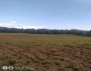 1,000 Hectares  3.5B  Rawland For Sale in Batangas -- Land -- Batangas City, Philippines