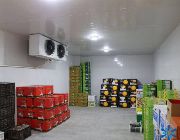 refrigeration, compressor, repair, rewinding, cold storage, services -- Food & Related Products -- El Salvador, Philippines
