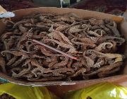 Dried seahorse available -- All Gaming Consoles -- Manila, Philippines