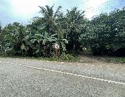 791 sqm Titled Lot along congressional road in Island Garden City of Samal, Davao Del Norte, at P6.35M -- Land -- Davao del Norte, Philippines