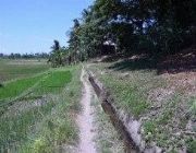 ID 14144 -- Land & Farm -- Negros oriental, Philippines