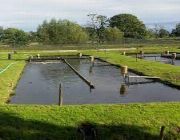 membrane, fish pond, koi, lagoon, sanitary, landfill, hdpe, ldpe, retention, swamp, river, dam, hydroponic, aquaponic, biogas -- Architecture & Engineering -- Aurora, Philippines