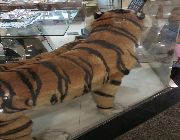 TIGER DISPLAY STATUE 55000 -- Everything Else -- Metro Manila, Philippines