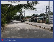 PDM049 COMMERCIAL LOT FOR SALE -- Commercial Building -- Laguna, Philippines