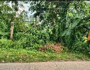 8,403 sqm cheap lot for sale along Lupac Rd, Boac, Marinduque ideal place for Farm Estate, Warehouse, Commissary and Logistics, etc.. -- Land & Farm -- Marinduque, Philippines