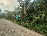 CHEAP VACANT LOT SACRIFICE SALE IN BOAC MARINDUQUE -- Land -- Marinduque, Philippines
